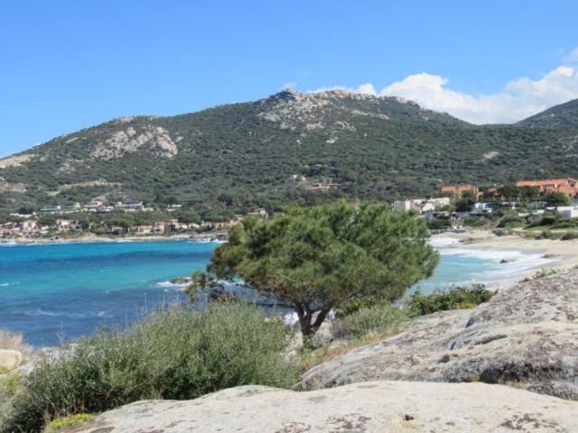 T2 Renove 100M Plage Avec Spa Privatif Entre Calvi Et Ile Rousse Lumio  Luaran gambar